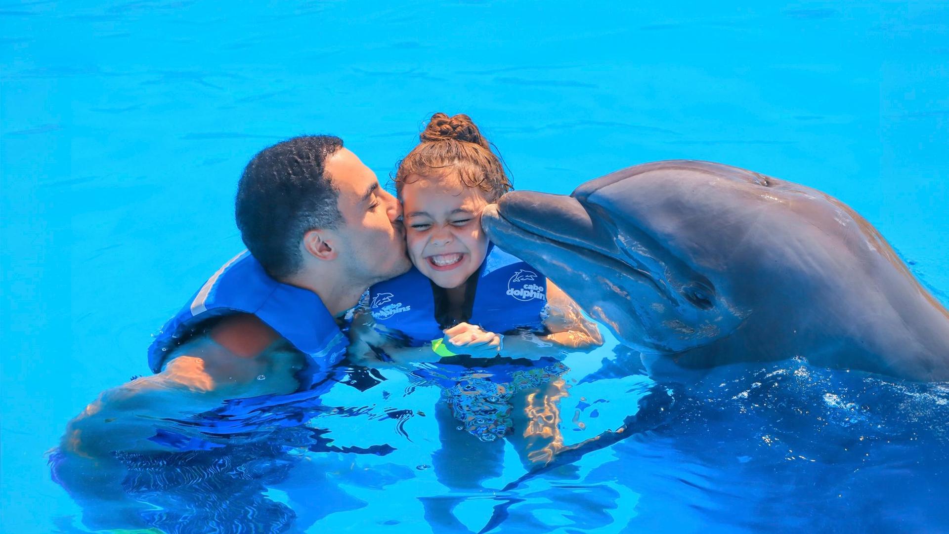 Experiencia con Delfines en Cabo