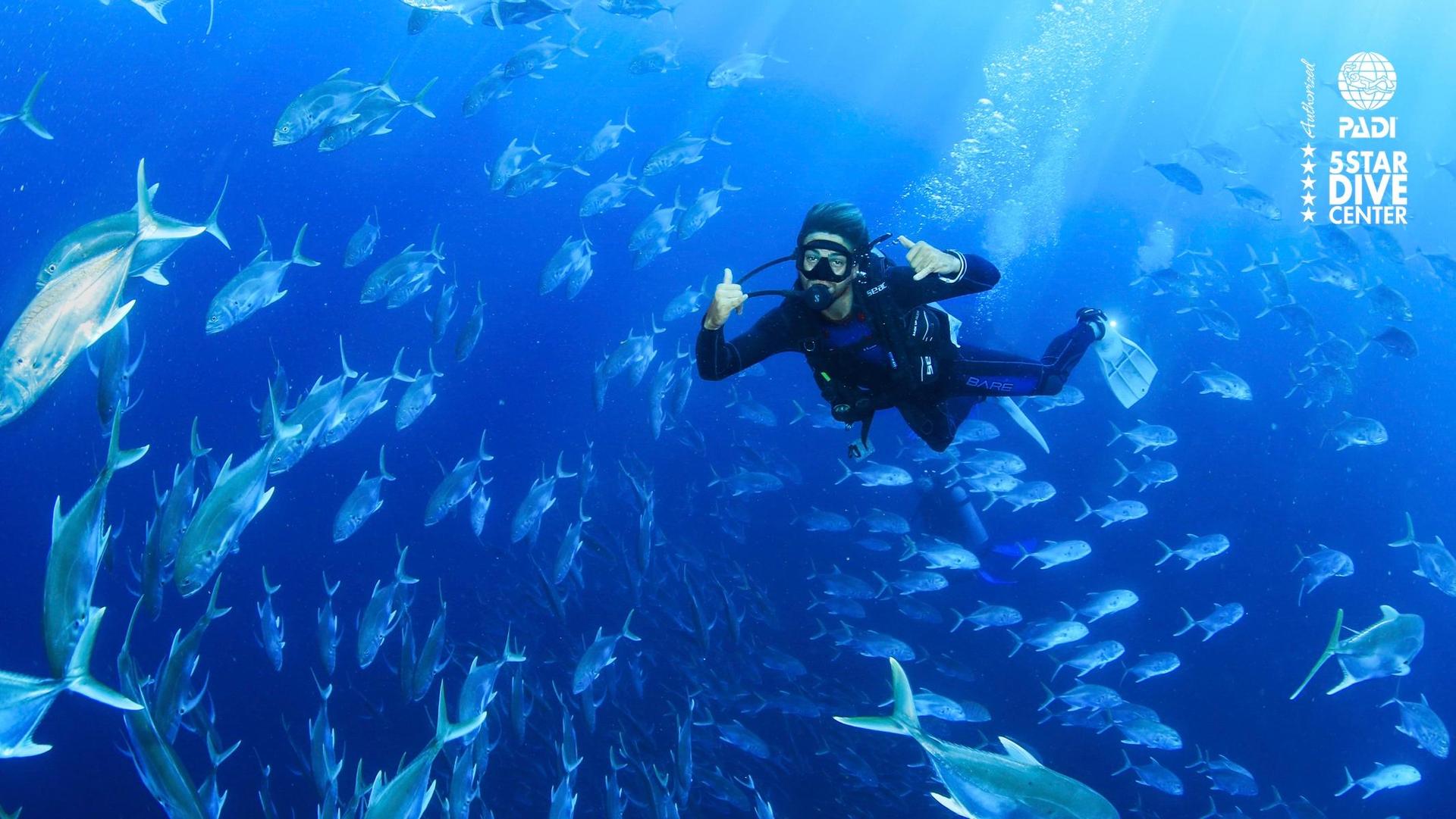 Cabo Scuba Diving at Land's End