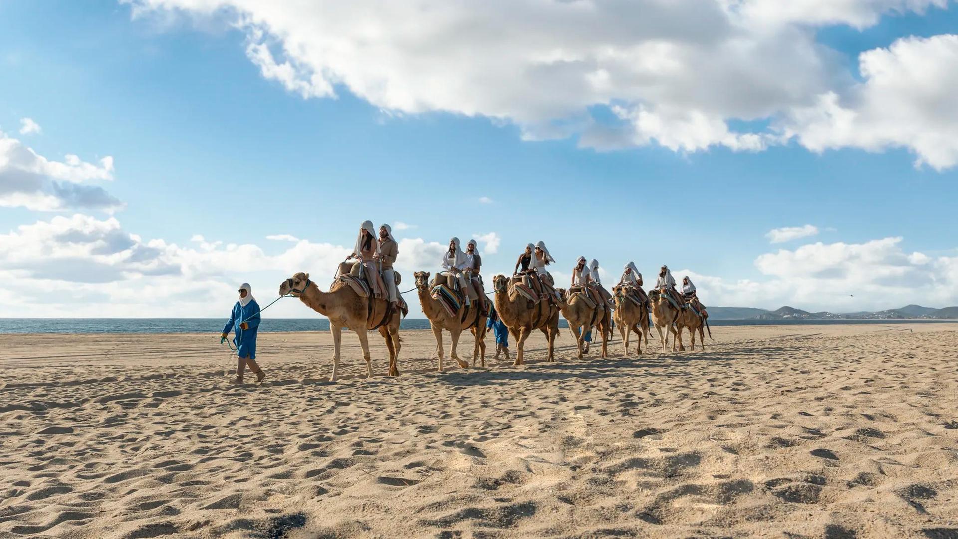 Outback and Camel Ride in Private
