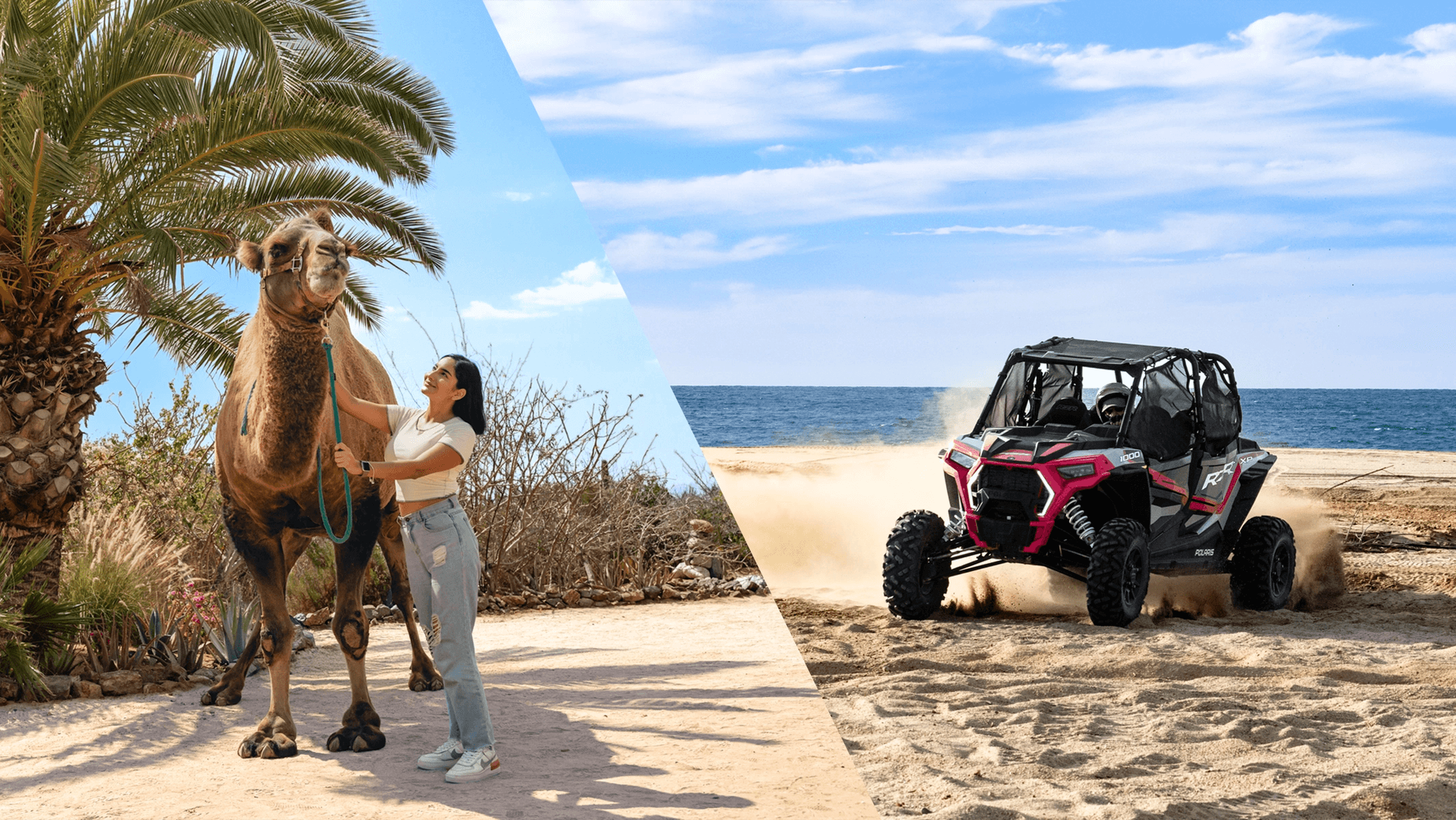 4x4 Off Road + Paseo en Camello