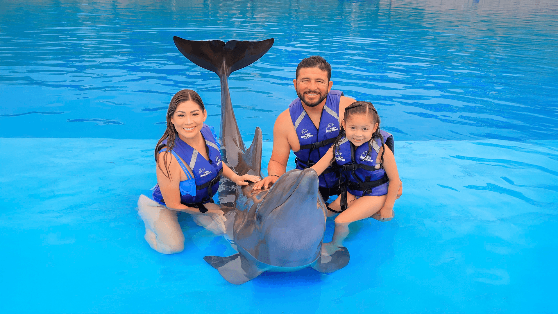 Encuentro Familiar con Delfines en Cabo
